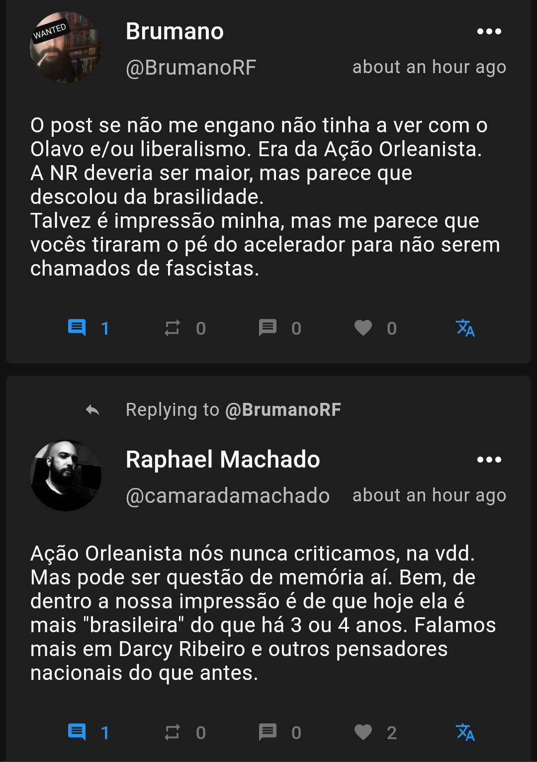 Raphael Machado fala sobre Nova Resistência e Ação Orleanista